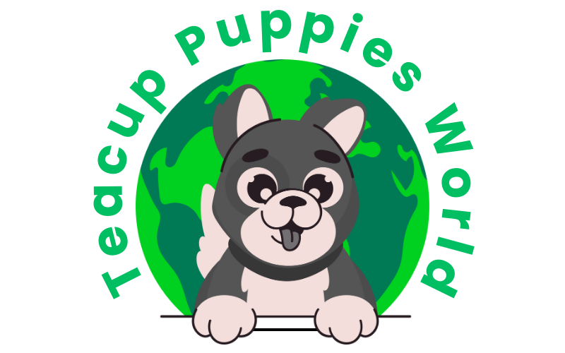 Teacup Puppies World